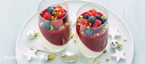 Panna cotta kerst leukerecepten.nl