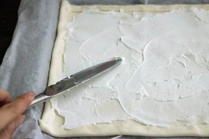 plaattaart_spruitjes