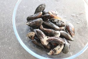 mosselen_koken