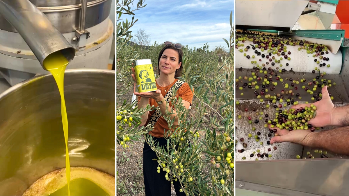 Hoe kies je de beste olijfolie?