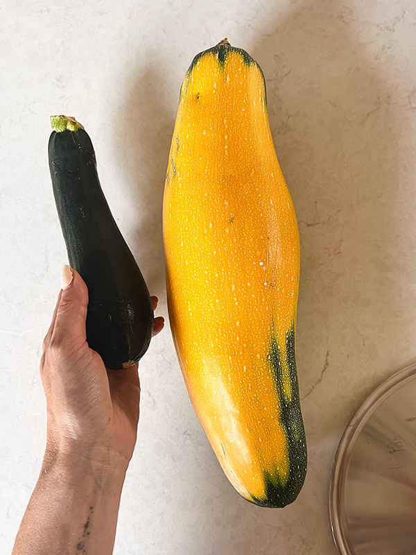 courgette