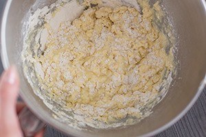 alpro cottage cheese balls step by step 01