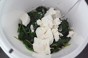 cod with spinach 01