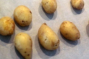 knoflook aardappelen 01