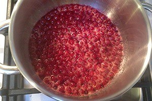 Venison-with-cranberry sauce