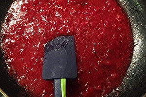 Venison-with-cranberry sauce