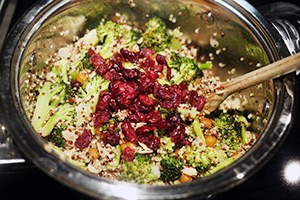 quinoa_broccoli_salad_04.jpg