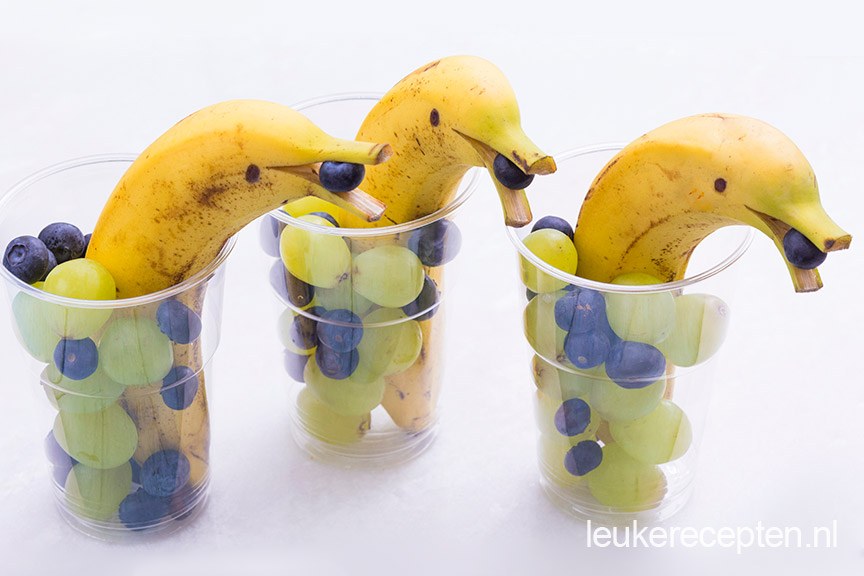 dolphin fruit cup