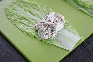 cabbage rolls_goat cheese_01.jpg