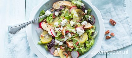 Salade met kiwi en kip