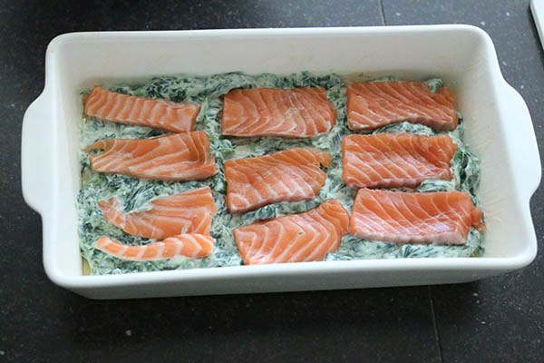 salmon-lasagne-05.jpg