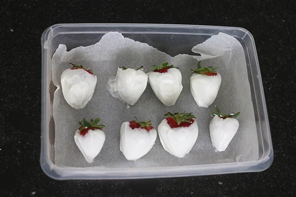 frozen_strawberries_coconut_03.jpg