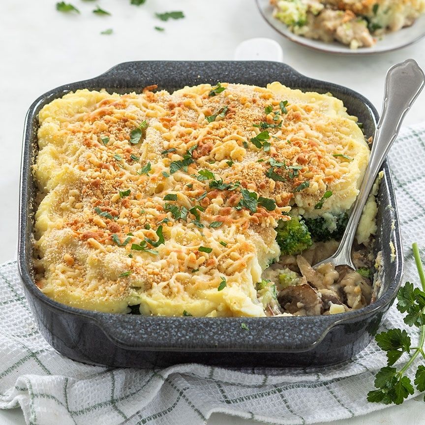 Casserole with ragout and broccoli