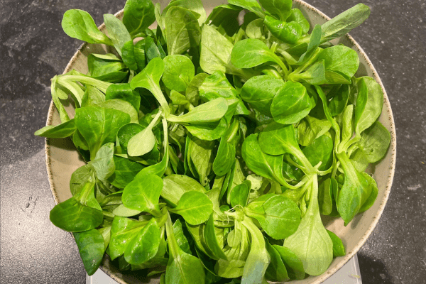 Salade-gerookte-zalm-svs-1.png